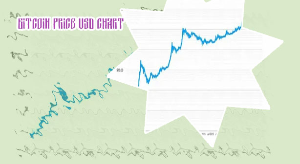 Bitcoin cost