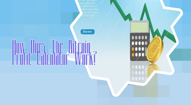 Bitcoin investment calculator