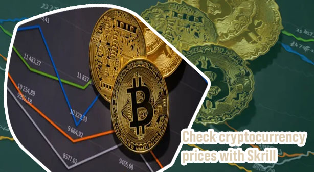 Crypto bitcoin price