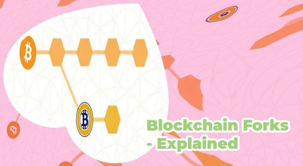 Crypto fork meaning