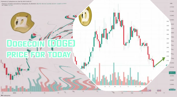 Dogecoin price usd