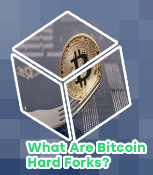 Forking crypto