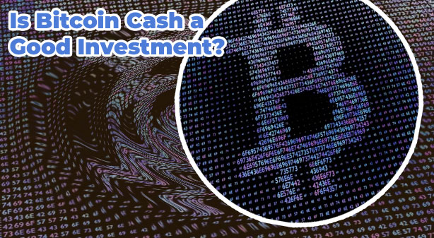 How high can bitcoin go