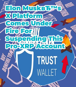 How much is bonfire crypto