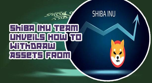 How to cash out shiba inu on cryptocom