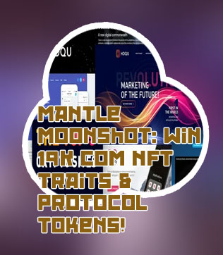 Moonshot crypto website
